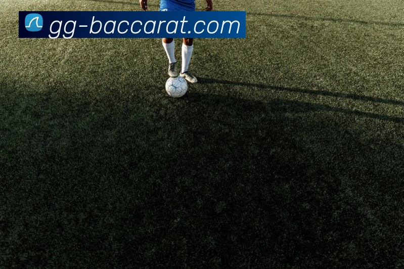 百家乐官网平台生态图