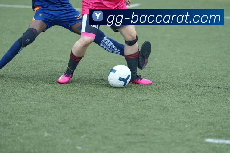 百家乐官网APP 封面图