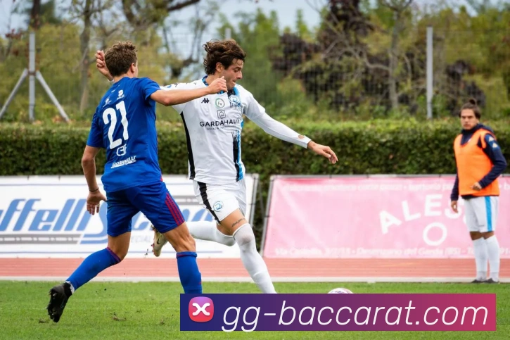 数据防护可视化